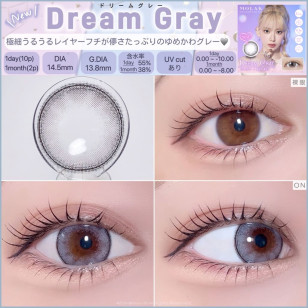 MOLAK 1day Dream Gray モラクワンデー ドリームグレー